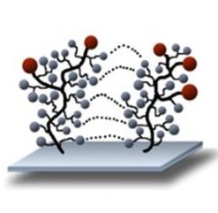 Molecular Surface Engineering (MSE)