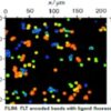 Microparticles for Fluorescence Lifetime