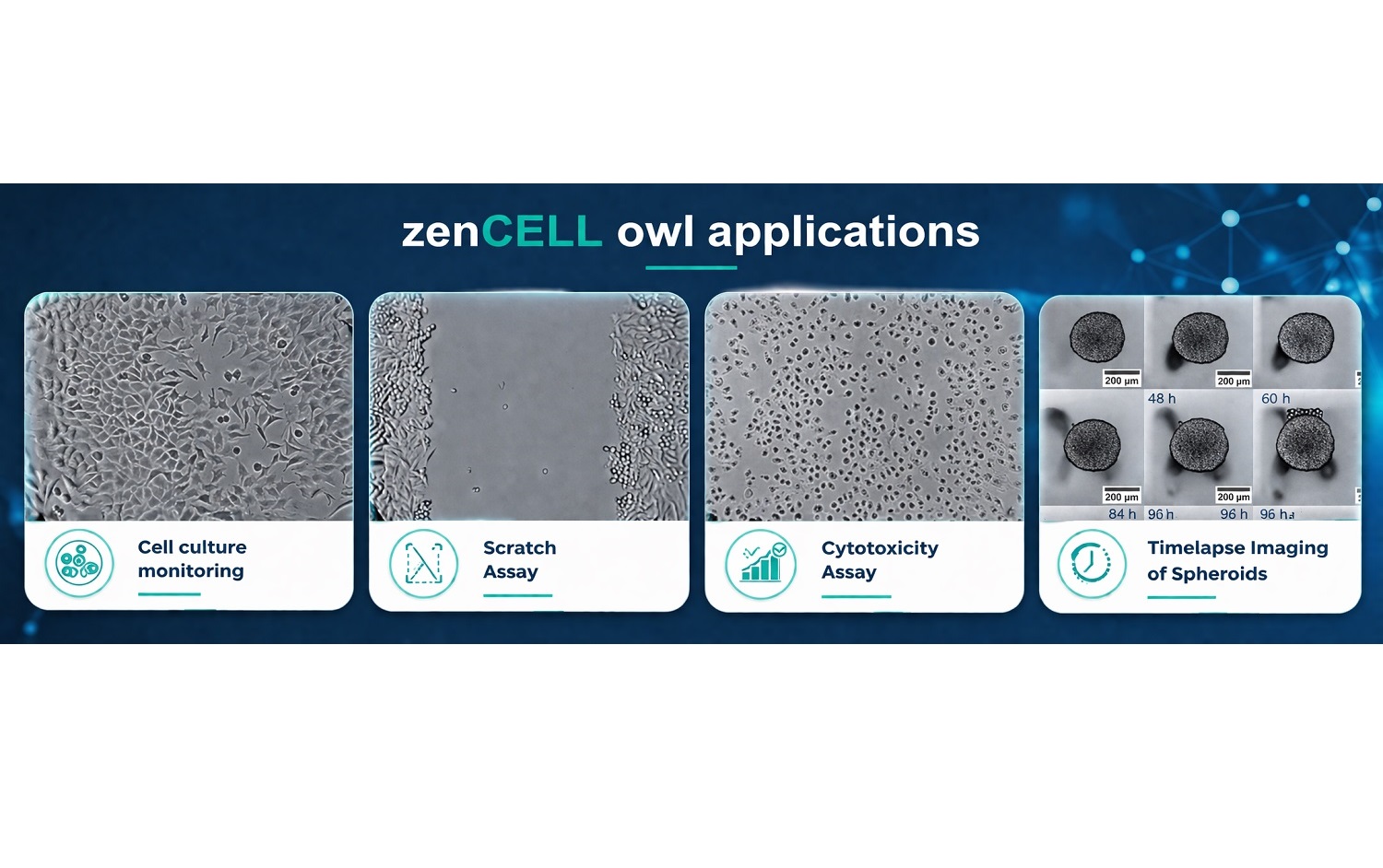 zenCELL owl applicationss